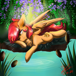 Size: 1235x1235 | Tagged: safe, artist:yuris, oc, oc only, pegasus, pony, cattails, chest fluff, forest, lake, reeds, solo