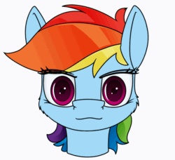 Size: 988x900 | Tagged: safe, artist:dacaoo, rainbow dash, pegasus, pony, robot, robot pony, g4, animated, bust, cheek fluff, eyelashes, female, gif, looking at you, mare, portrait, rainbot dash, simple background, solo, white background