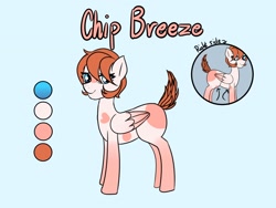 Size: 1600x1200 | Tagged: safe, artist:plaguemare, oc, oc only, oc:chip breeze, pegasus, pony, markings, pegasus oc, reference sheet, solo, wings
