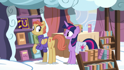Size: 1280x720 | Tagged: safe, screencap, amber ink, twilight sparkle, alicorn, pegasus, pony, fame and misfortune, g4, bag, bookseller, cloudsdale, female, mare, raised hoof, saddle bag, smiling, twilight sparkle (alicorn)