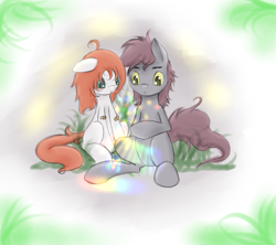 Size: 2598x2309 | Tagged: safe, artist:ashesdarkpony, oc, oc only, earth pony, pony, duo, female, high res, male
