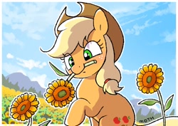 Size: 1457x1032 | Tagged: safe, artist:mochi_nation, applejack, earth pony, pony, g4, blushing, cute, day, female, flower, flower field, jackabetes, mare, mountain, mountain range, mouth hold, solo, sunflower
