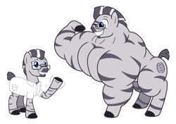 Size: 1243x876 | Tagged: safe, artist:urkel, oc, oc only, oc:mino, pony, zebra, clothes, fetish, glasses, growth, lab coat, male, muscle expansion, muscle fetish, muscle growth, muscles, overdeveloped muscles, scientist, sequence, simple background, smiling, solo, stallion, white background, zebra oc
