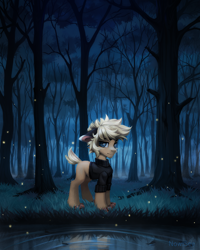 Size: 2000x2500 | Tagged: safe, artist:inowiseei, oc, oc only, earth pony, pony, clothes, commission, dark, floppy ears, forest, high res, pond, water