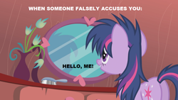 Size: 1280x720 | Tagged: safe, edit, edited screencap, screencap, twilight sparkle, pony, unicorn, bridle gossip, g4, bed mane, brush, brushie, brushing, butt, female, mare, messy hair, messy mane, mirror, plot, reflection, solo, text, twibutt, unicorn twilight