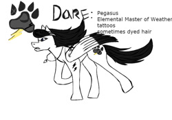 Size: 1000x700 | Tagged: safe, artist:darestorm, oc, oc only, pegasus, pony, jewelry, master, necklace, paw prints, pegasus oc, raised hoof, reference sheet, simple background, solo, white background, wings