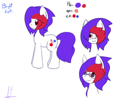 Size: 2666x2166 | Tagged: safe, artist:almaustral, oc, oc only, oc:bright light, earth pony, pony, bust, earth pony oc, eye clipping through hair, glasses, high res, male, reference sheet, signature, smiling, stallion
