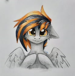 Size: 2757x2788 | Tagged: safe, artist:dorkmark, oc, oc only, oc:mayday, pegasus, pony, commission, confused, high res, looking at you, solo, traditional art
