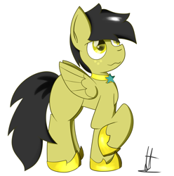 Size: 1354x1366 | Tagged: safe, artist:almaustral, oc, oc only, pegasus, pony, hoof shoes, pegasus oc, raised hoof, signature, simple background, solo, white background, wings
