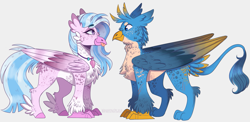Size: 1781x868 | Tagged: safe, artist:wanderingpegasus, gallus, silverstream, classical hippogriff, griffon, hippogriff, g4, cheek fluff, chest fluff, duo, ear fluff, female, fluffy, male, ship:gallstream, shipping, straight