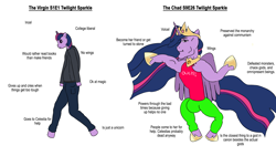 Size: 1920x1080 | Tagged: safe, artist:pencilfriend, twilight sparkle, alicorn, human, anthro, mlp fim's tenth anniversary, friendship is magic, g4, the last problem, adventure in the comments, chad, crotch bulge, happy birthday mlp:fim, humanized, meme, older, older twilight, older twilight sparkle (alicorn), princess twilight 2.0, twilight sparkle (alicorn), virgin, virgin walk