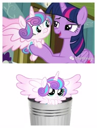 Size: 3106x4096 | Tagged: safe, edit, edited screencap, screencap, princess flurry heart, twilight sparkle, alicorn, pony, g4, baby, baby pony, female, mare, op is a duck, op is trying to start shit, trash can, twilight sparkle (alicorn)