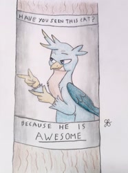 Size: 1892x2537 | Tagged: safe, artist:goldenflow, gallus, griffon, g4, catbird, colored pencil drawing, cute, finger gun, finger guns, gallabetes, have you seen this cat?, male, meme, ponified meme, smiling, smug, solo, telephone pole, text, traditional art