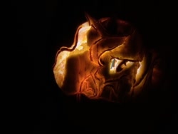 Size: 640x480 | Tagged: safe, artist:rainbowbacon, princess luna, alicorn, pony, g4, carving, photo, pumpkin