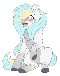 Size: 2461x3112 | Tagged: safe, artist:silentwolf-oficial, oc, oc only, earth pony, pony, blushing, chest fluff, colored, earth pony oc, embarrassed, high res, raised hoof, simple background, sitting, solo, transparent background