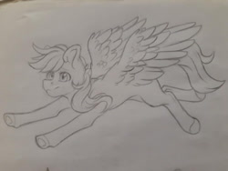 Size: 960x720 | Tagged: safe, artist:silentwolf-oficial, oc, oc only, pegasus, pony, flying, lineart, pegasus oc, solo, traditional art, wings