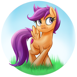 Size: 942x942 | Tagged: safe, artist:ikarooz, scootaloo, pegasus, pony, g4, chest fluff, circle background, crossed legs, cute, cutealoo, female, filly, grass, looking back, older, older scootaloo, simple background, solo, spread wings, the cmc's cutie marks, transparent background, wings