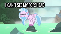 Size: 1920x1080 | Tagged: source needed, safe, edit, edited screencap, screencap, silverstream, g4, what lies beneath, i can't see my forehead, patty hype, spongebob reference, spongebob squarepants, unamused