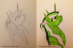Size: 2448x1632 | Tagged: safe, artist:stargazerseven, clover the clever, pony, unicorn, g4, bust, duo, female, lineart, looking up, mare, monochrome, traditional art