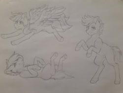 Size: 960x720 | Tagged: safe, artist:silentwolf-oficial, oc, oc only, earth pony, pegasus, pony, earth pony oc, flying, grayscale, lineart, lying down, monochrome, on back, pegasus oc, rearing, traditional art, wings