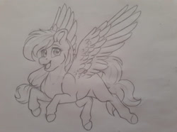 Size: 1440x1072 | Tagged: safe, artist:silentwolf-oficial, oc, oc only, pegasus, pony, grayscale, lineart, monochrome, open mouth, pegasus oc, smiling, solo, traditional art, wings