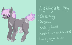 Size: 2160x1351 | Tagged: safe, artist:dellieses, oc, oc only, earth pony, pony, earth pony oc, female, mare, reference sheet, solo