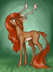 Size: 2435x3317 | Tagged: safe, artist:cvanilda, oc, oc only, deer, antlers, high res, signature, solo