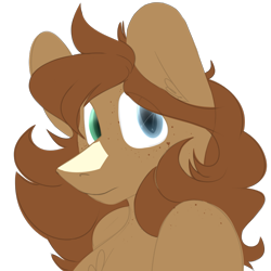 Size: 900x900 | Tagged: safe, artist:orion, oc, oc only, oc:orion tempest, pegasus, pony, brown mane, chest fluff, ear fluff, freckles, heterochromia, long hair, shoulder freckles, simple background, solo, transparent background