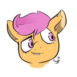 Size: 900x900 | Tagged: safe, artist:sugarelement, scootaloo, pegasus, pony, g4, bust, head only, portrait, simple background, smiling, smirk, solo, white background