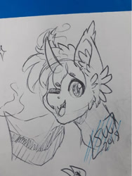 Size: 721x960 | Tagged: safe, artist:silentwolf-oficial, oc, oc only, pony, bust, ear fluff, flag, grayscale, lineart, monochrome, one eye closed, signature, solo, traditional art, wink