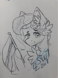 Size: 721x960 | Tagged: safe, artist:silentwolf-oficial, oc, oc only, earth pony, pony, bust, chest fluff, ear fluff, earth pony oc, grayscale, lineart, monochrome, signature, solo, traditional art