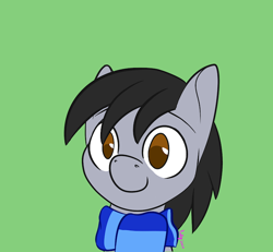 Size: 720x665 | Tagged: safe, artist:inkynotebook, part of a set, oc, oc only, oc:funny sun, earth pony, pony, bust, clothes, commission, earth pony oc, green background, scarf, simple background, smiling, solo, ych result