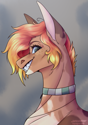 Size: 1501x2149 | Tagged: safe, artist:amcirken, oc, oc only, oc:megan, pony, bust, female, mare, portrait, solo