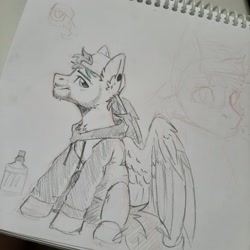 Size: 2048x2048 | Tagged: safe, artist:dorkmark, oc, oc only, oc:spedicey, pegasus, pony, high res, sketch, solo, traditional art