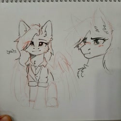 Size: 2048x2048 | Tagged: safe, artist:dorkmark, oc, oc only, pegasus, pony, cheek fluff, gift art, high res, sketch, solo, traditional art