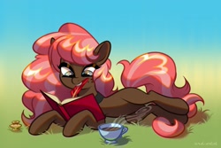Size: 2048x1366 | Tagged: safe, artist:rrd-artist, oc, oc only, oc:scarlet trace (coffee bean), earth pony, pony, book, commission, cup, female, freckles, grass, lying down, mare, mouth hold, solo