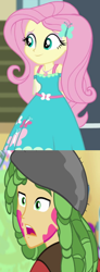 Size: 428x1160 | Tagged: safe, edit, edited screencap, screencap, fluttershy, sandalwood, a banner day, equestria girls, fluttershy's butterflies, fluttershy's butterflies: applejack, g4, my little pony equestria girls: better together, arm behind back, clothes, comparison, dress, geode of empathy, geode of fauna, geode of shielding, geode of sugar bombs, geode of super speed, geode of super strength, geode of telekinesis, hairpin, magical geodes, sandalshy, shipping, shipping domino, straight