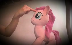 Size: 2948x1836 | Tagged: safe, artist:count oxymagomedov sear, pinkie pie, human, pony, g4, forehead poke, irl, offscreen character, photo, plushie