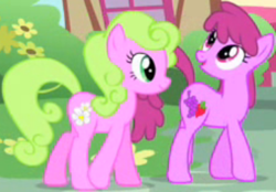 Size: 340x236 | Tagged: safe, screencap, berry punch, berryshine, daisy, flower wishes, earth pony, pony, g4, party of one, cropped, female, mare