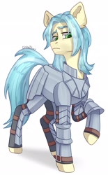 Size: 1270x2048 | Tagged: safe, artist:chibadeer, oc, oc only, earth pony, pony, armor, solo