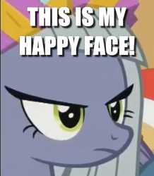 Size: 311x356 | Tagged: safe, edit, edited screencap, screencap, limestone pie, pony, best gift ever, g4, caption, cropped, image macro, solo, text