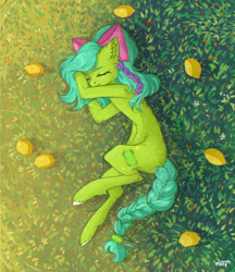 Size: 2536x2941 | Tagged: safe, artist:lovely-pony, oc, oc only, oc:emerald joy, earth pony, pony, bowtie, female, food, grass, high res, lemon, lying, mango, mare, pigtails, signature, sleeping, solo