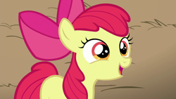 Size: 1280x720 | Tagged: safe, screencap, apple bloom, earth pony, pony, brotherhooves social, g4, female, filly