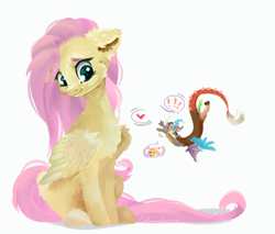 Size: 1280x1088 | Tagged: safe, artist:colorbrush, discord, fluttershy, draconequus, pegasus, pony, g4, blushing, cheek fluff, chest fluff, ear fluff, female, floppy ears, folded wings, heart, hoof fluff, leg fluff, looking at each other, looking sideways, macro/micro, male, mare, pictogram, ship:discoshy, shipping, simple background, sitting, size difference, smiling, speech bubble, straight, turned head, white background, wing fluff, wings