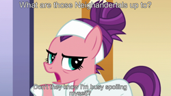 Size: 806x452 | Tagged: safe, edit, edited screencap, screencap, spoiled rich, earth pony, pony, applejack's "day" off, g4, annoyed, female, have you seen this snail?, mare, meme, moments before disaster, neanderthal, ponified meme, pony racism, snob, spoiled bitch, spongebob squarepants, squidward tentacles