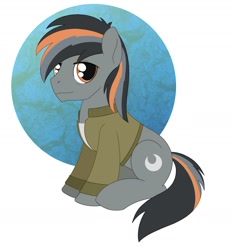 Size: 1703x1847 | Tagged: safe, artist:dyonys, oc, oc:cinder moon, earth pony, pony, clothes, jacket, male, sitting, stallion