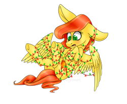 Size: 1538x1258 | Tagged: safe, artist:daringpineapple, oc, oc only, oc:phoenix feather, pegasus, pony, christmas, christmas lights, female, holiday, simple background, solo, tangled up, transparent background