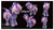 Size: 4573x2569 | Tagged: safe, artist:chibi-pets, oc, oc:midnight mist, bat pony, pony, female, irl, mare, photo, plushie, solo