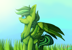 Size: 4320x3000 | Tagged: safe, artist:plushielover, oc, oc only, oc:evergreen feathersong, pegasus, pony, commission, day, grass, looking up, pegasus oc, solo, sunlight, wings, ych result