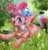 Size: 1932x2000 | Tagged: dead source, safe, artist:makkah, pinkie pie, earth pony, pony, g4, cute, detailed, diapinkes, female, happy, mare, open mouth, rainbow power, smiling, solo